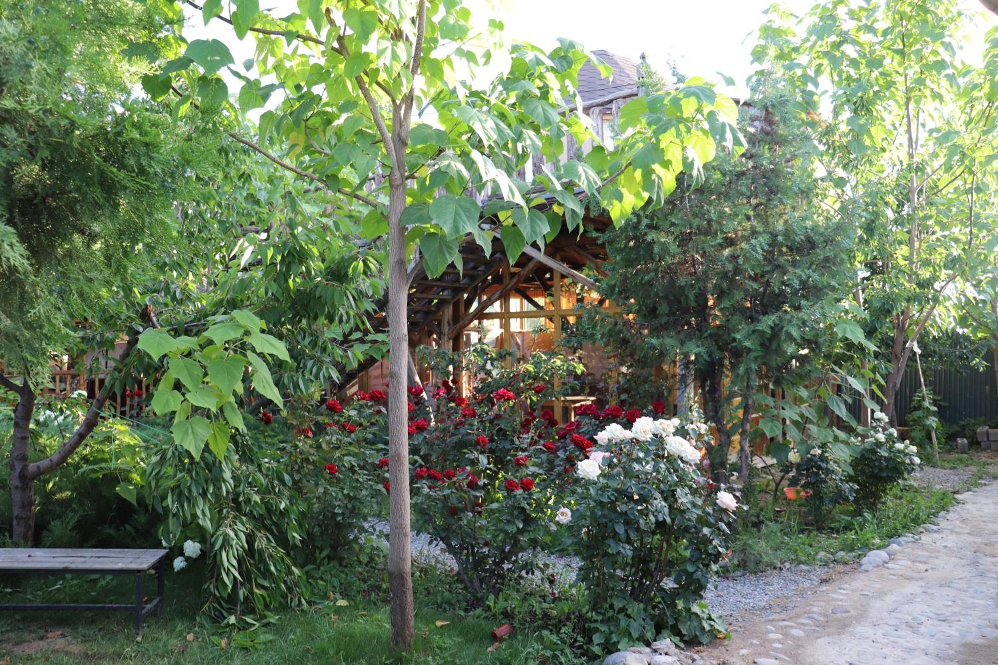 Happy Nomads Yurts & Hostel Karakol Exterior foto