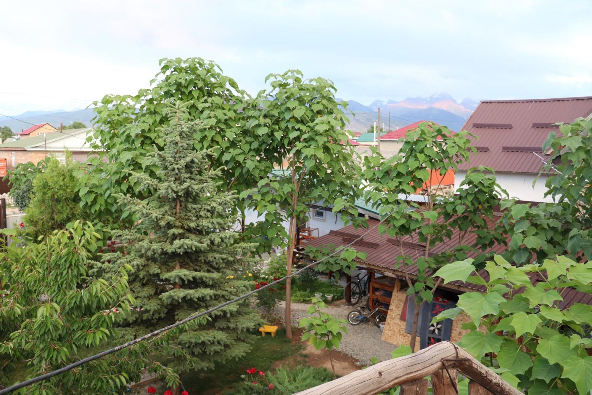 Happy Nomads Yurts & Hostel Karakol Exterior foto