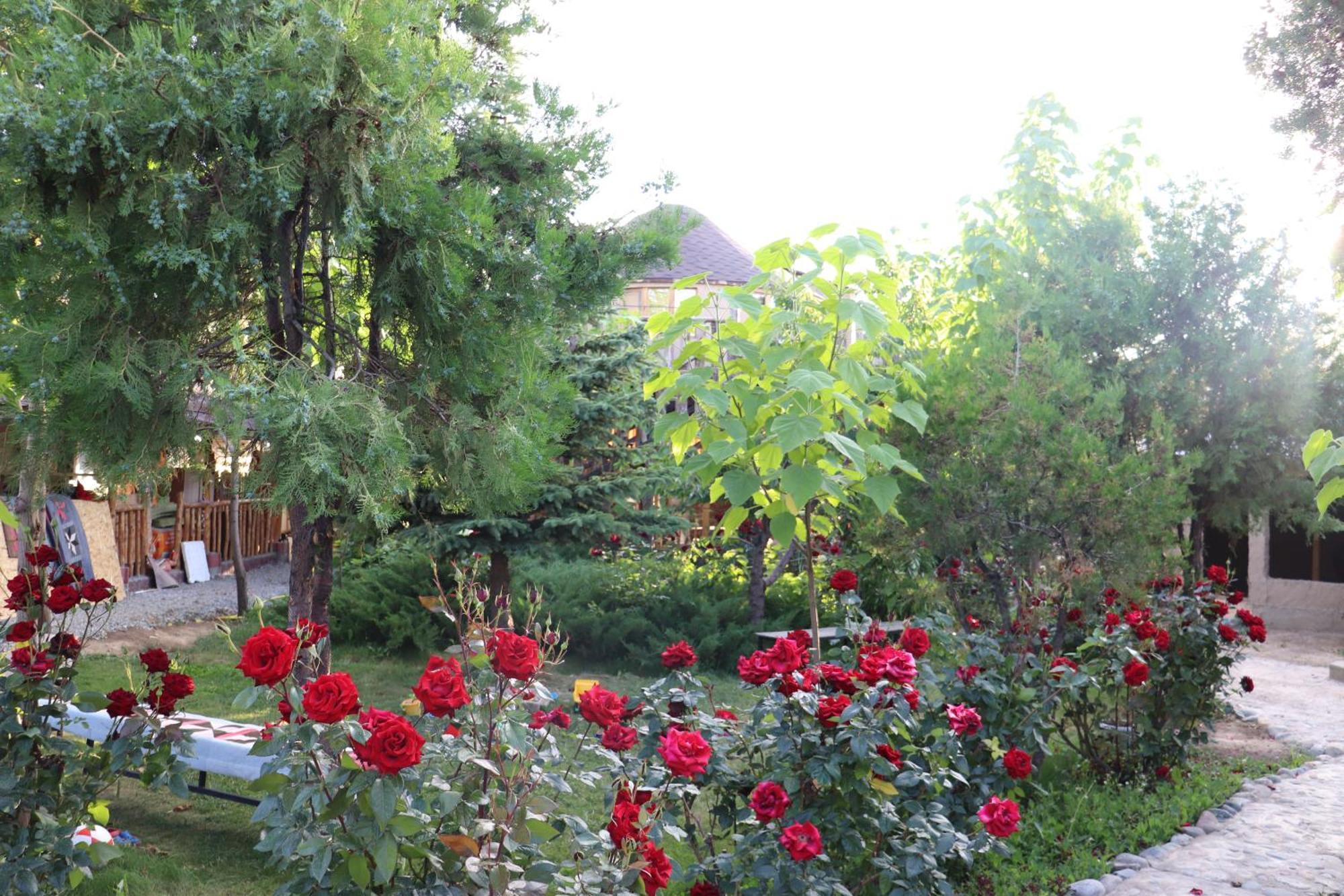 Happy Nomads Yurts & Hostel Karakol Exterior foto