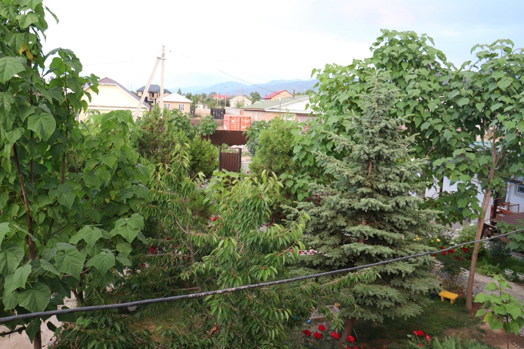 Happy Nomads Yurts & Hostel Karakol Exterior foto